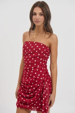 Charley Mini Dress Wine