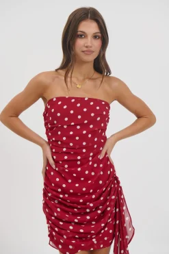 Charley Mini Dress Wine