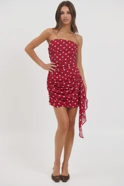 Charley Mini Dress Wine