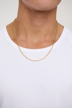 Premium NTH Theodore Chain Gold Plated
