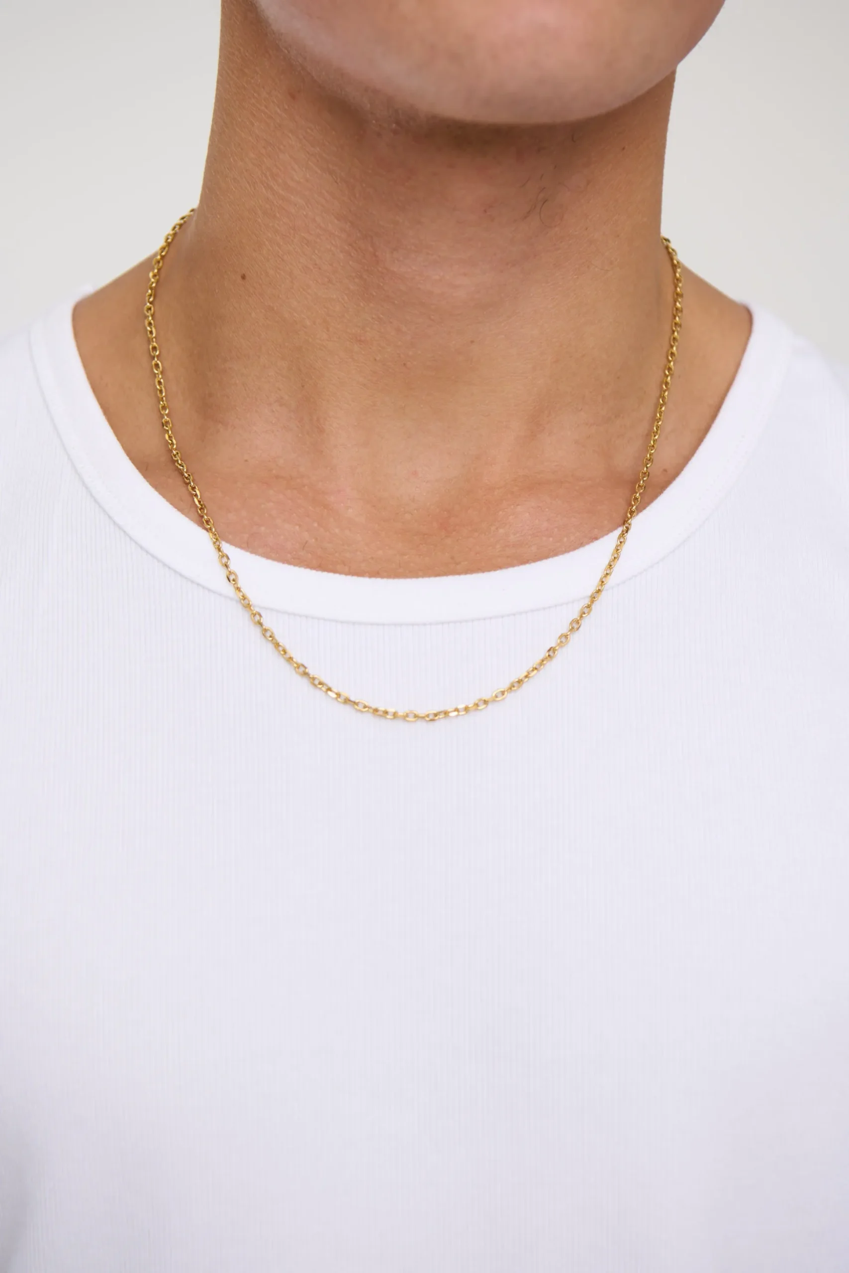 Premium NTH Theodore Chain Gold Plated