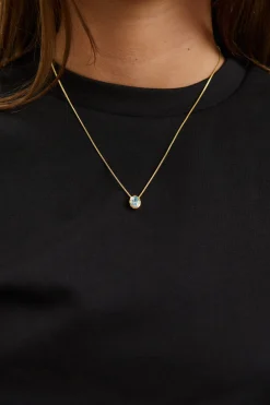 Willow Birthstone Necklace December